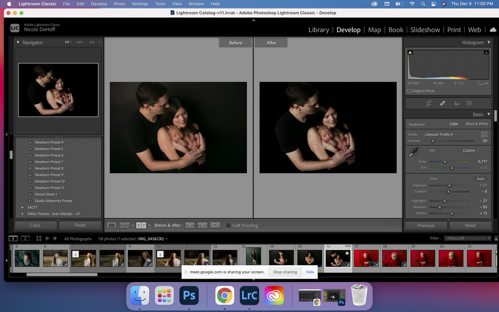 Lifesaver LIGHTROOM Brushes