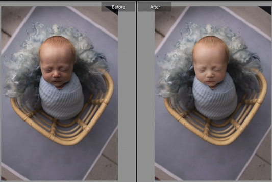 Lifesaver LIGHTROOM Brushes