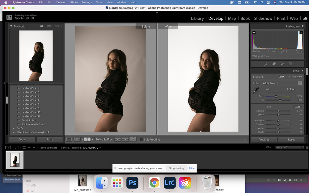 Lifesaver LIGHTROOM Brushes