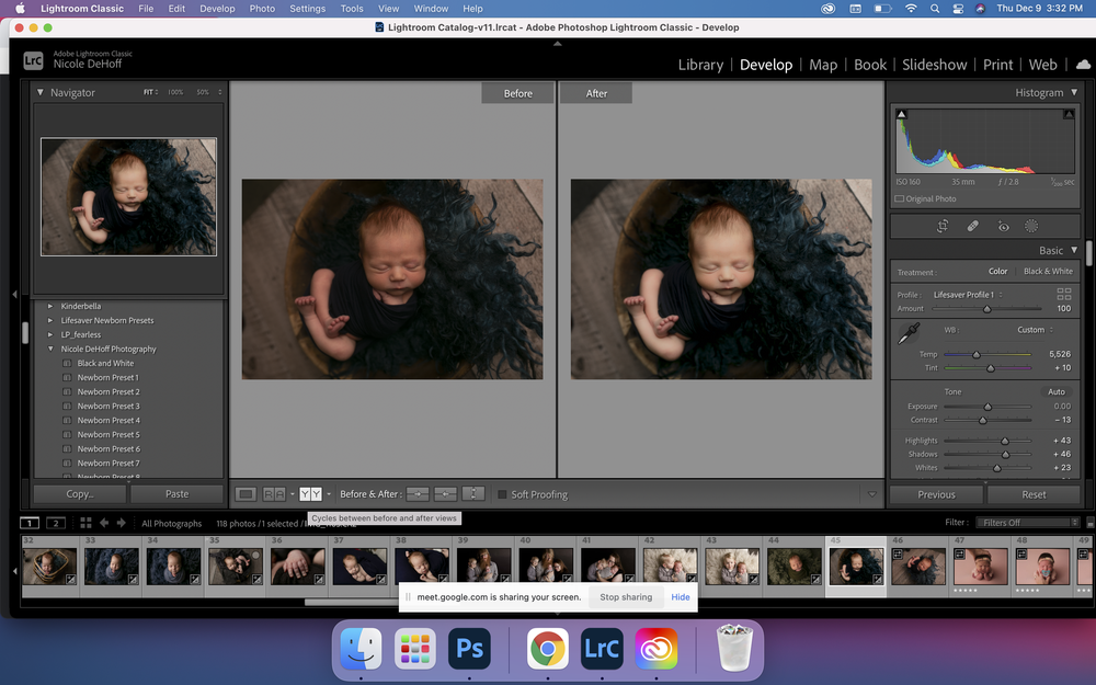 Lifesaver LIGHTROOM Brushes
